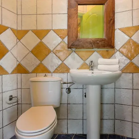 Elia 2 Alykanas (Zakynthos)